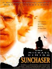 The.Sunchaser.1996.1080p.WEBRip.DD2.0.x264-monkee