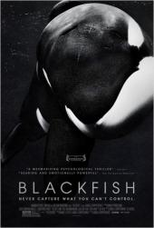Blackfish.2013.1080p.BluRay.x265-RARBG