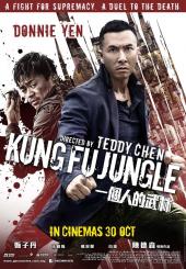 Kung.Fu.Jungle.2014.720p.BluRay.DTS.x264-TayTO