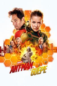 Ant-Man.And.The.Wasp.2018.IMAX.MULTi.DV.2160p.WEB.H265-UKDHD