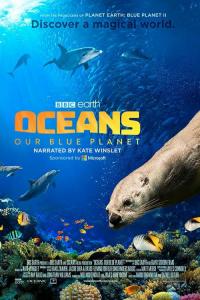 Oceans.Our.Blue.Planet.2018.NFOFIX.2160p.UHD.BluRay.x265-13