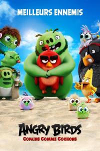 Angry Birds : Copains comme cochons / The.Angry.Birds.Movie.2.2019.1080p.BluRay.x264-GECKOS