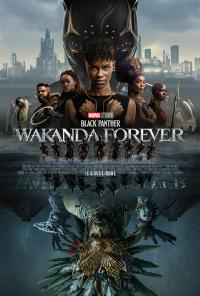 Black.Panther.Wakanda.Forever.2022.IMAX.2160p.DSNP.WEB-DL.x265.10bit.HDR.DTS-HD.MA.TrueHD.7.1.Atmos-SWTYBLZ